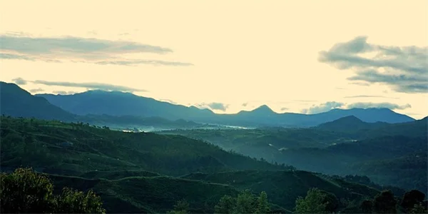 Fastball EEG: The Game-Changing Dementia Test You Need to Know