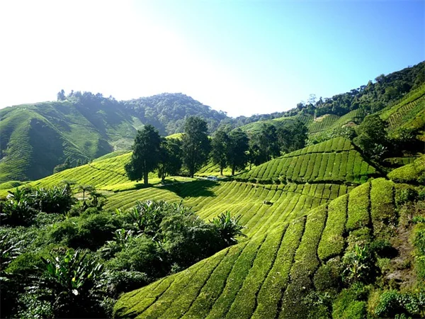 GLP-1 Microdosing for Weight Loss: What Science Says About This Risky Trend