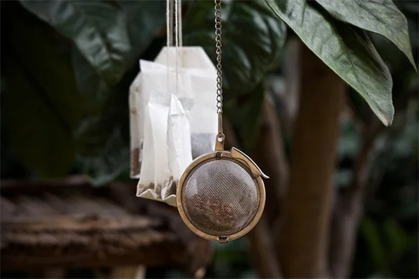 5 Hydration Hacks to Slow Aging & Boost Longevity (Backed by Science)