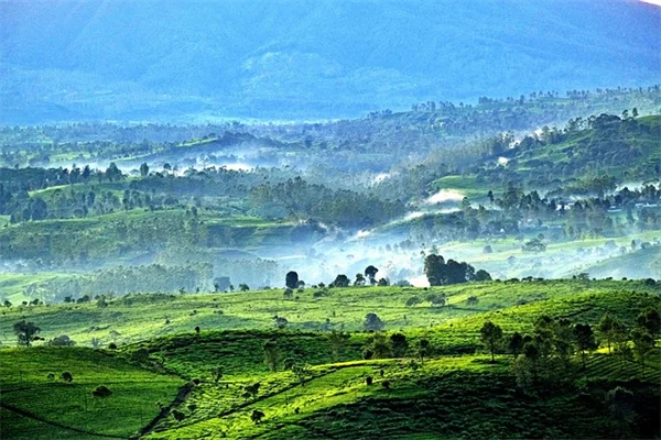 Healthy Snacking: Why Quality Beats Quantity Every Time