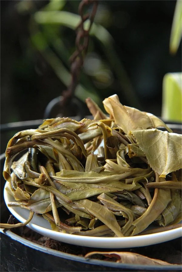 CDC Warns: Vampire Facials Linked to HIV - What You Must Know